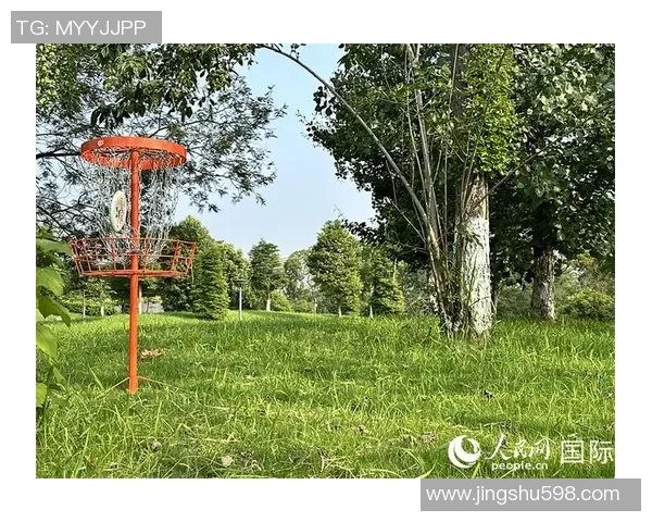 飞盘焦点：成都飞盘队的力量探讨_1